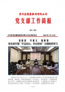 集团公司党支部简报 